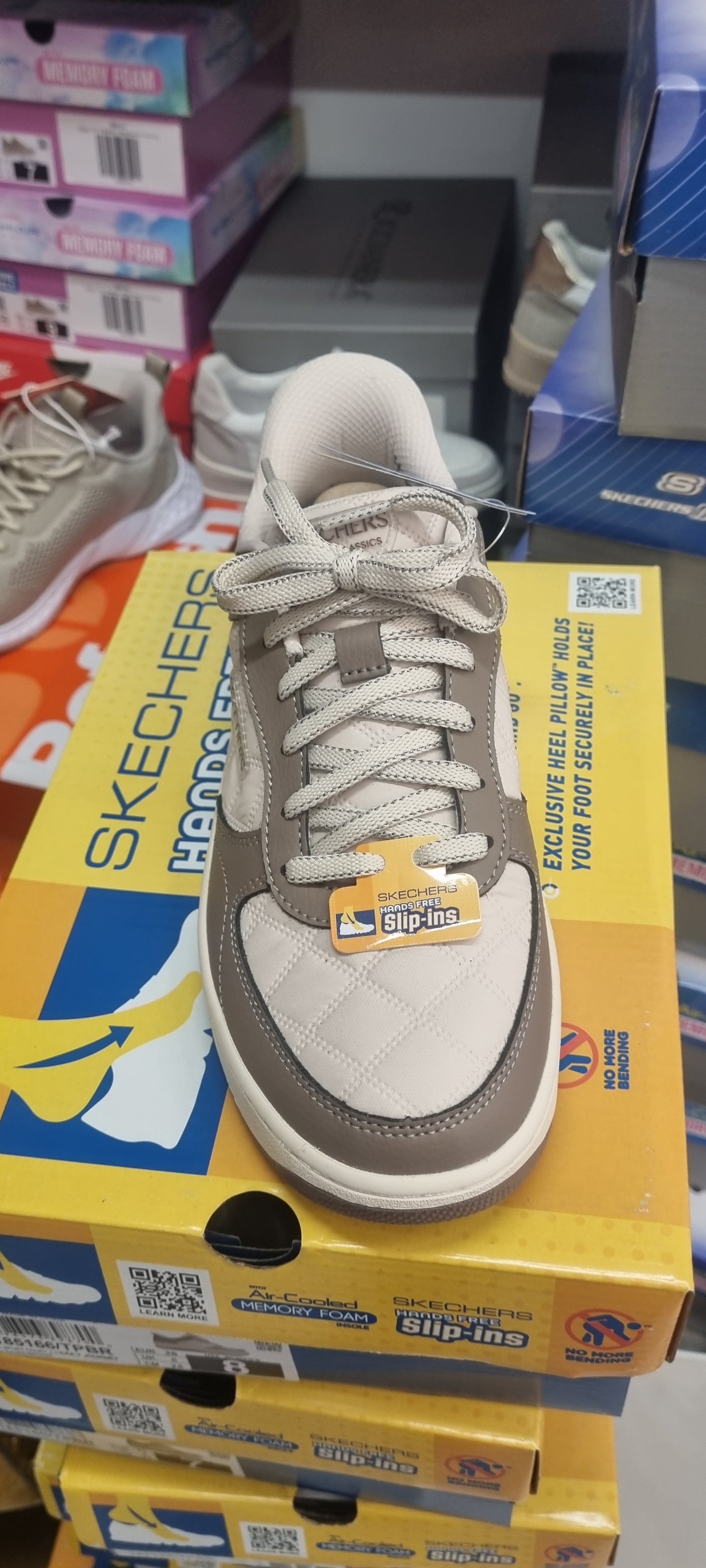 Skechers court