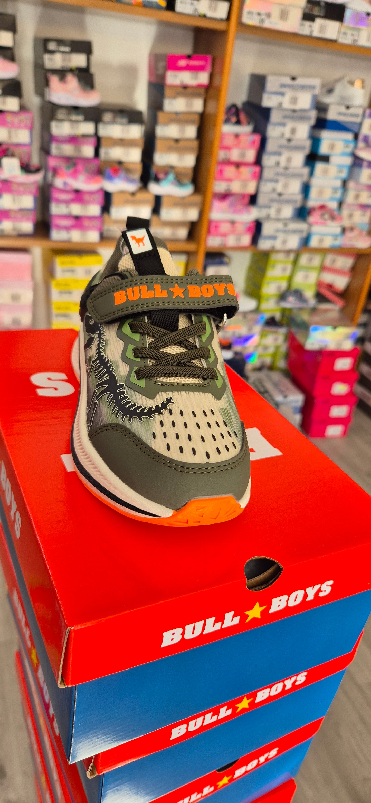 Bull boys uragano rex